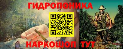 шишки Берёзовский