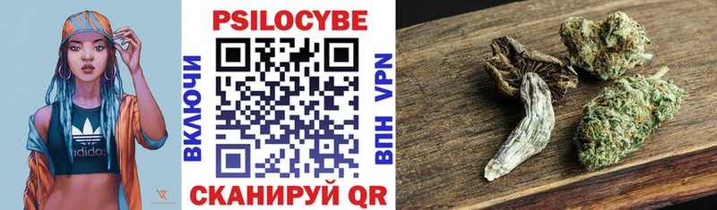 Галлюциногенные грибы ЛСД  shop состав  Долгопрудный  наркошоп  hydra ССЫЛКА 