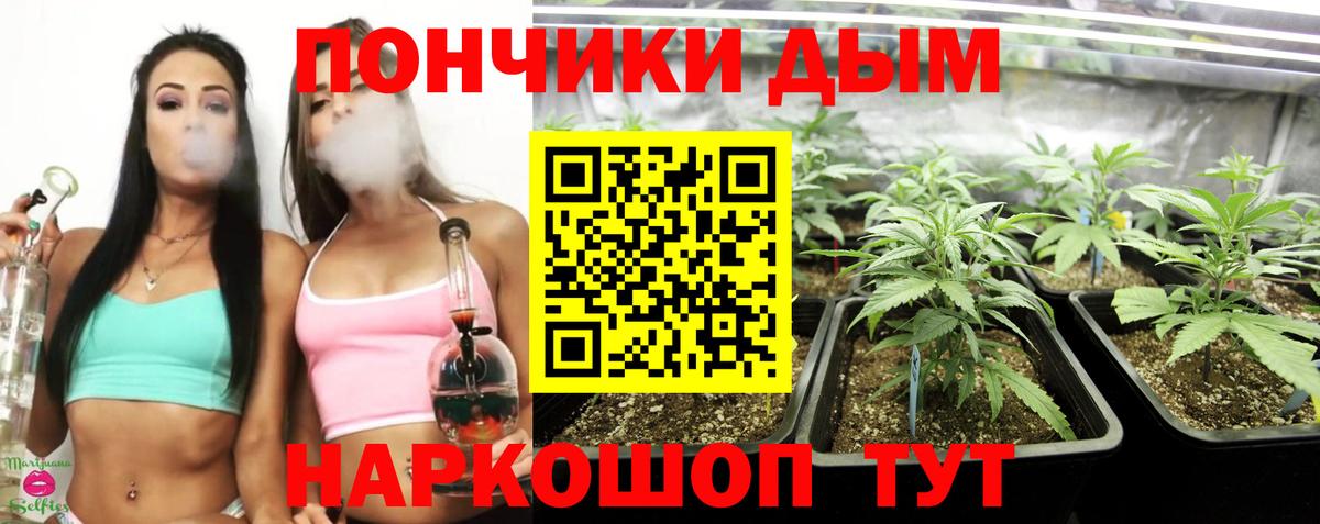 Шишки марихуана гибрид  Шишки марихуана планчик  Вход с VPN  Шишки марихуана Bruce Banner  Долгопрудный 